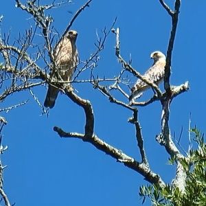 Meet your Posher, Ed